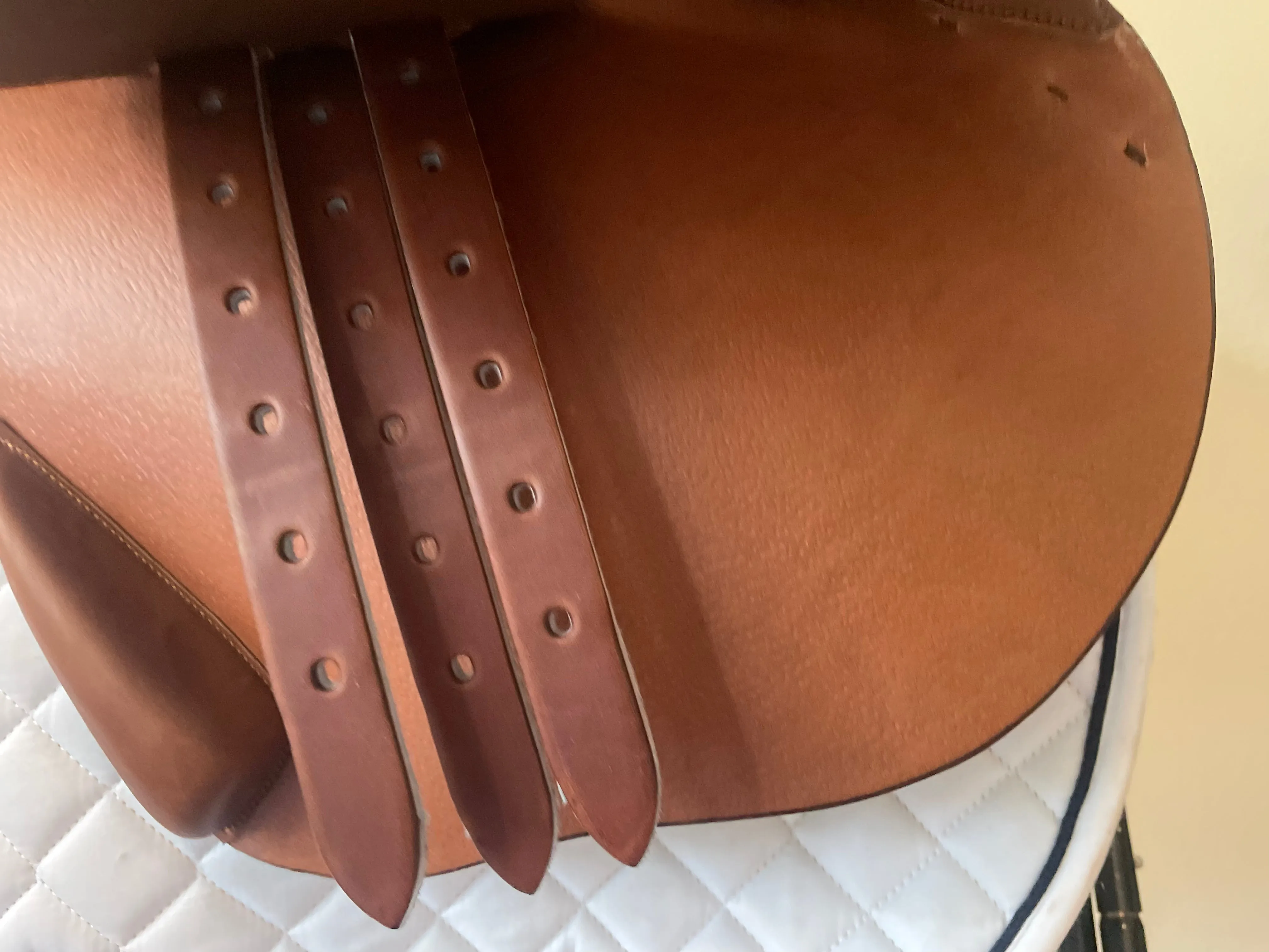 17 - 2023 Bruno Delgrange Virtuose, 4X Flap, Full Calf ***BRAND NEW***
