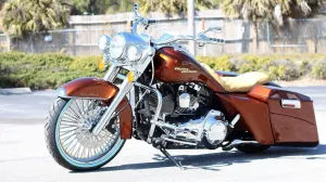5 Special Bagger Kit (Standard) L.E.D
