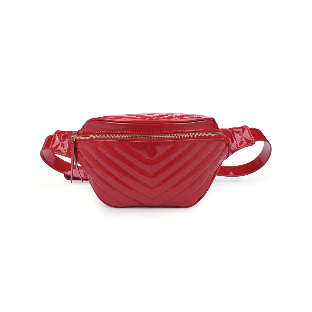 Ally Belt Bag
