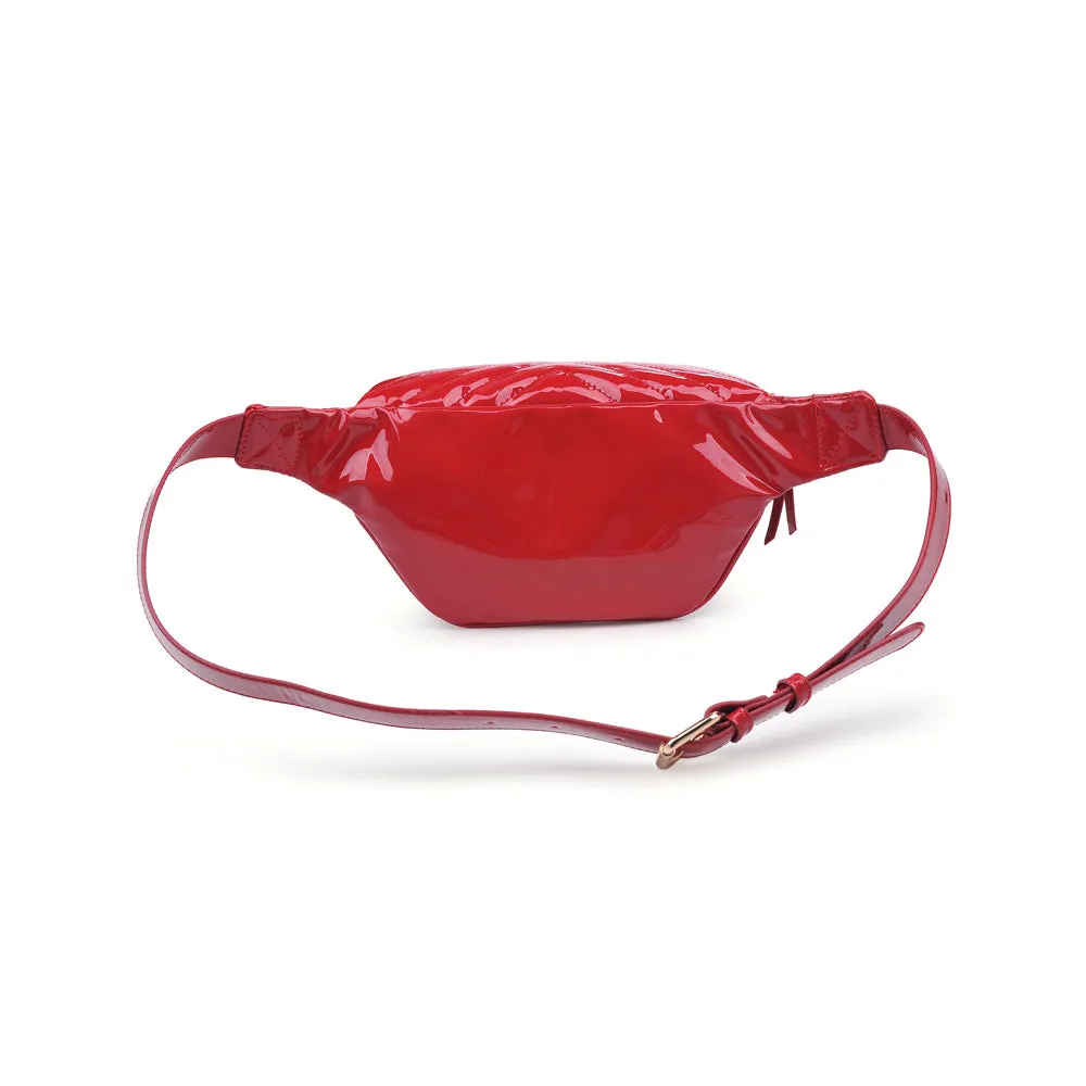 Ally Belt Bag