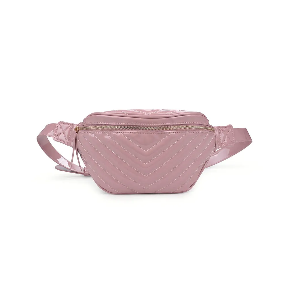 Ally Belt Bag