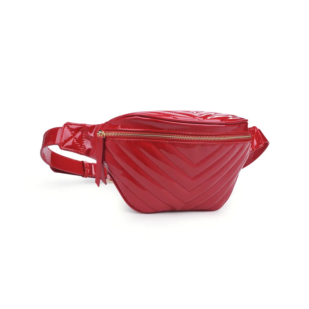 Ally Belt Bag