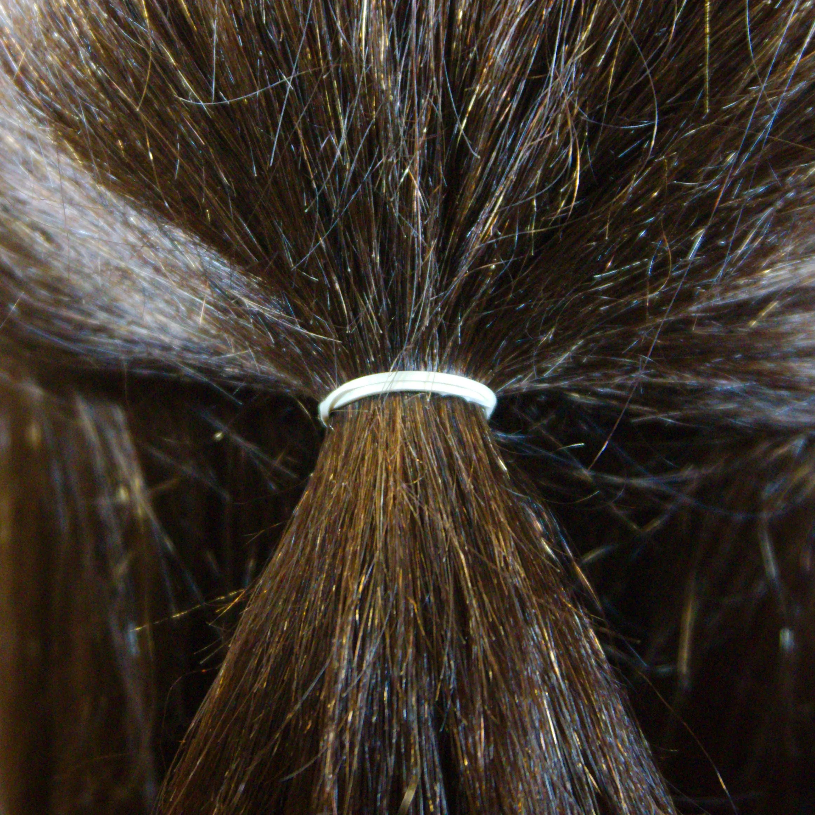 Amelia Beauty | 1/2in, Black and Creme Mix, Elastic Rubber Band Pony Tail Holders | Made in USA, Ideal for Ponytails, Braids, Twists, Dreadlocks, Styling Accessories for Women, Men and Girls | 500 Pack