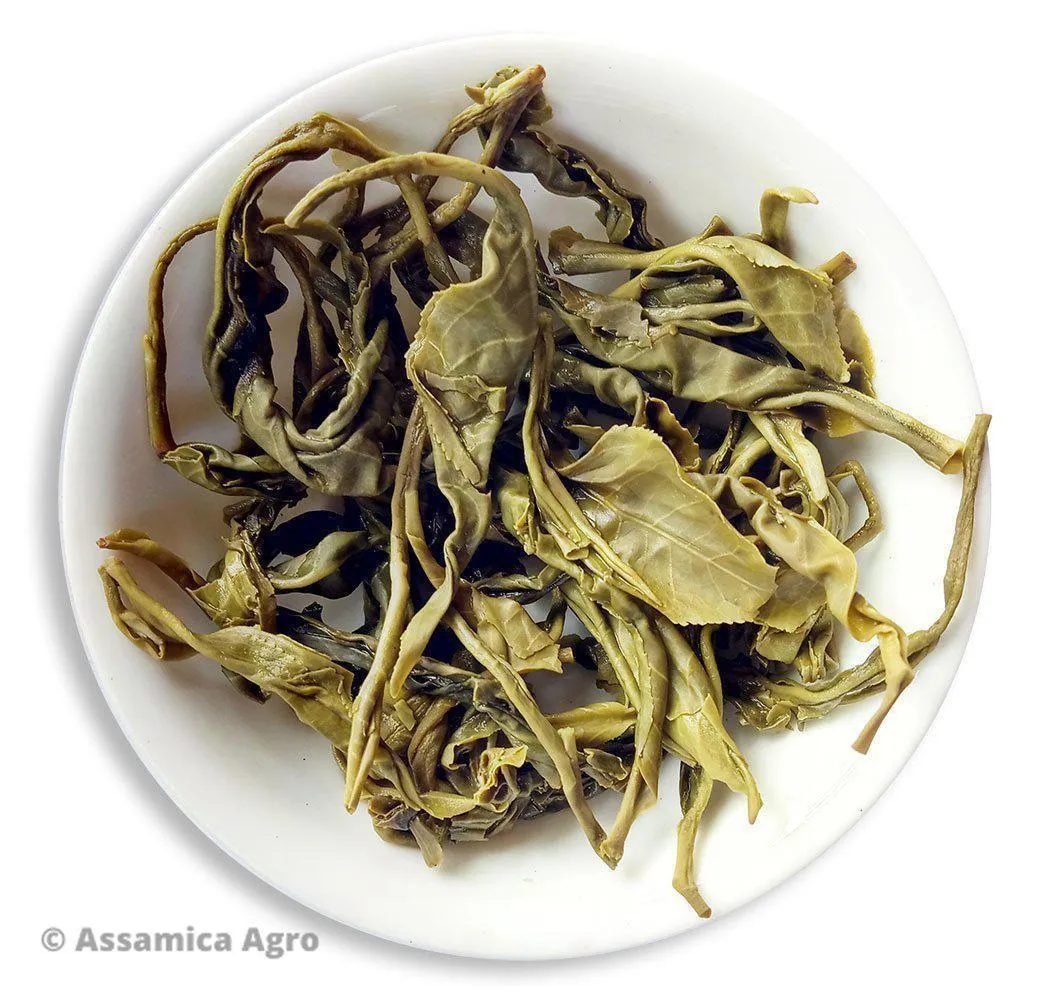 Assam Green Adventure