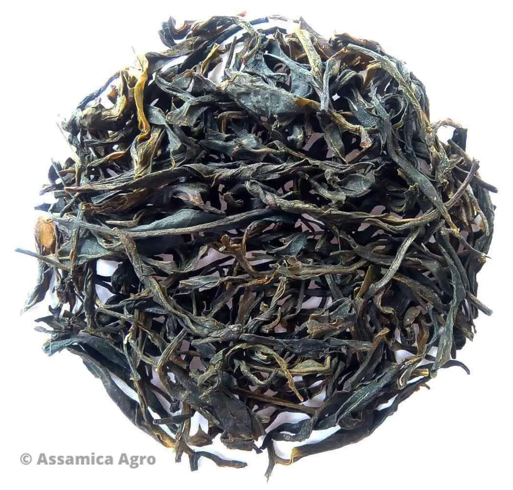 Assam Green Adventure