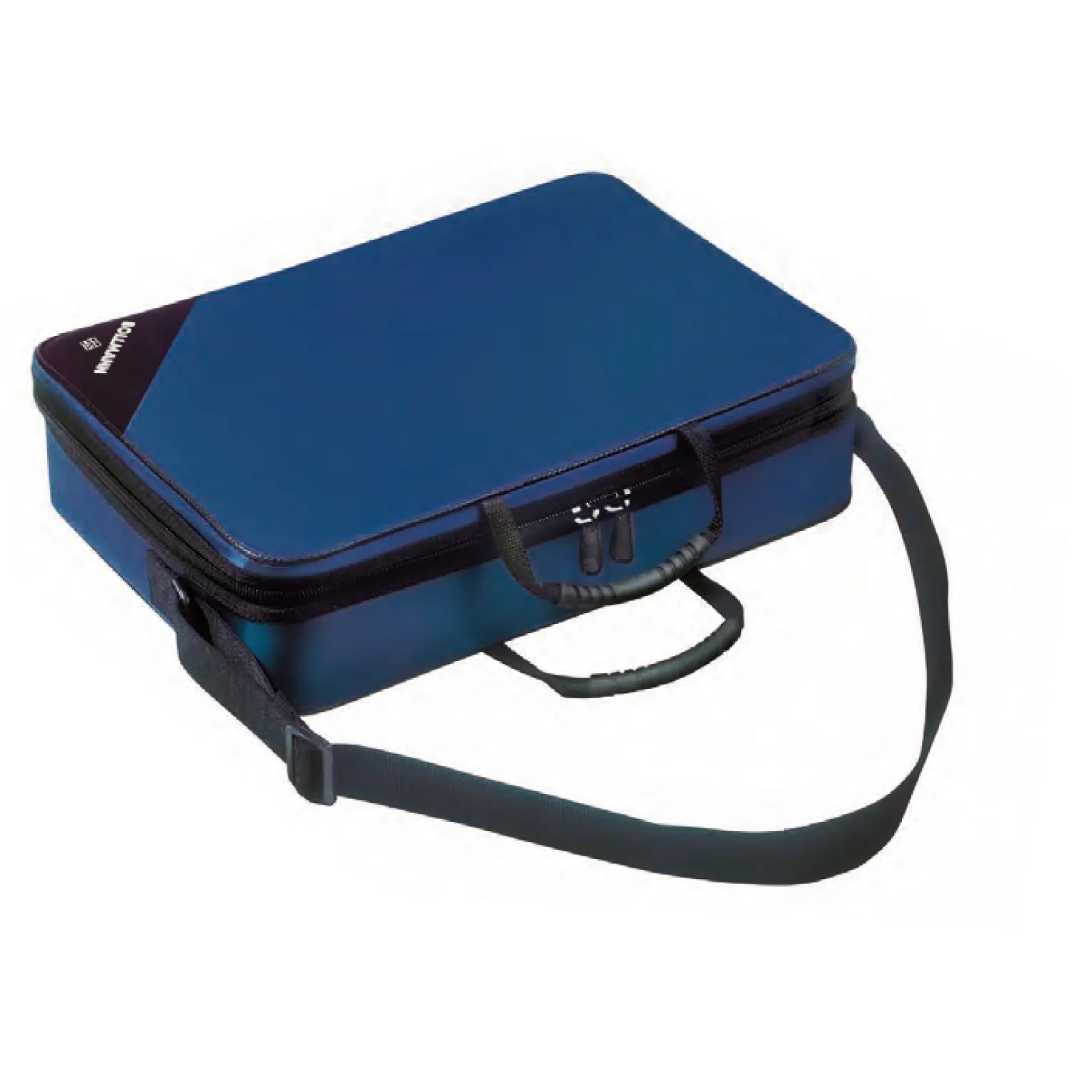 Bollmann Medicare Case | Blue