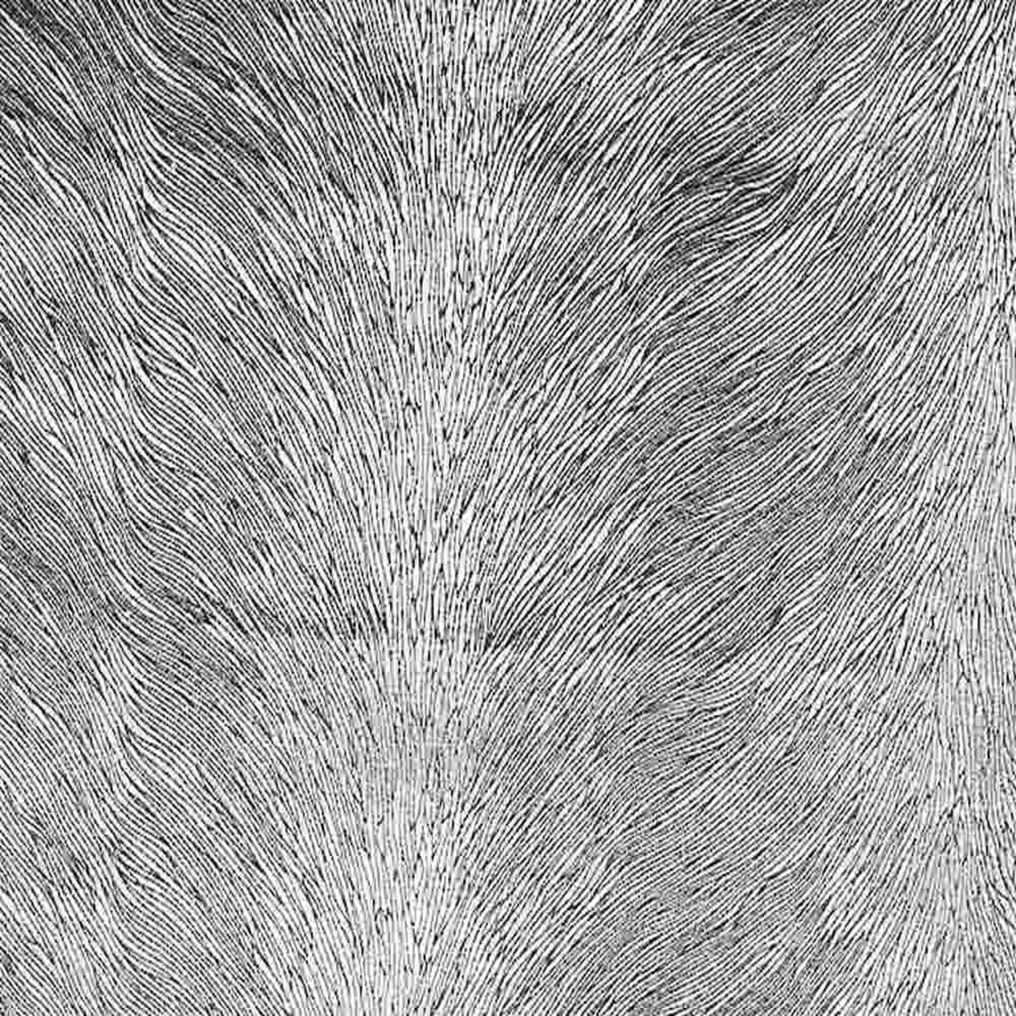 Brocade Hunter Velvet Fabric, 72 Inch. in Width | Home Decor