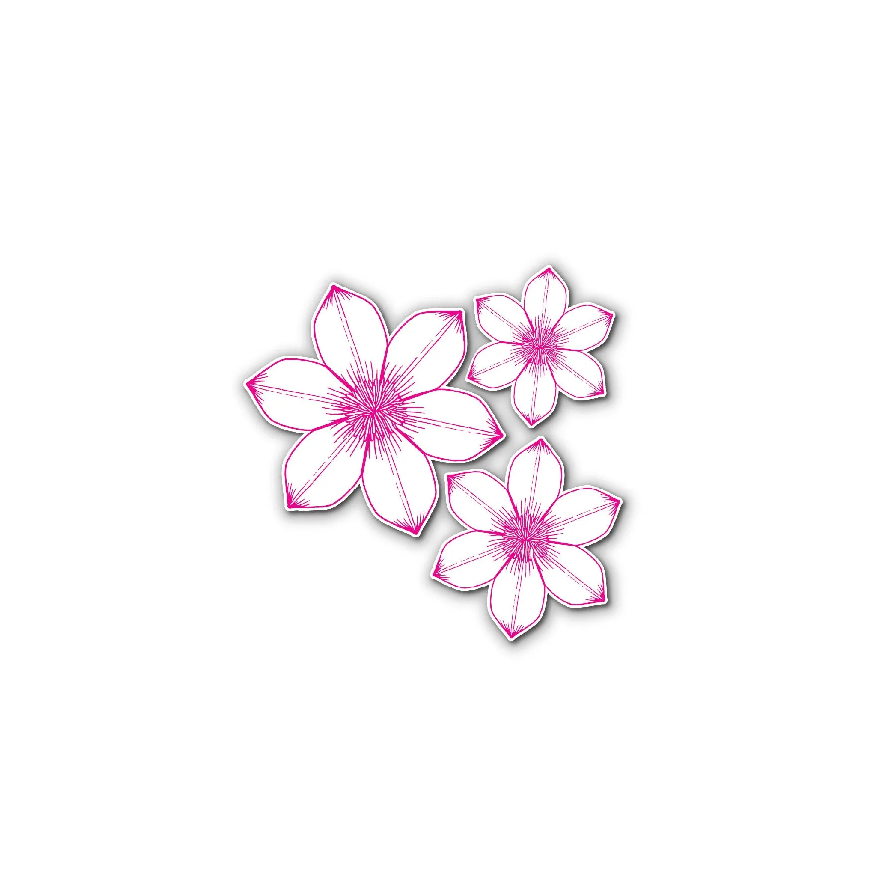 Chloes Creative Cards Die & Stamp Set – Summer Foliage Corner