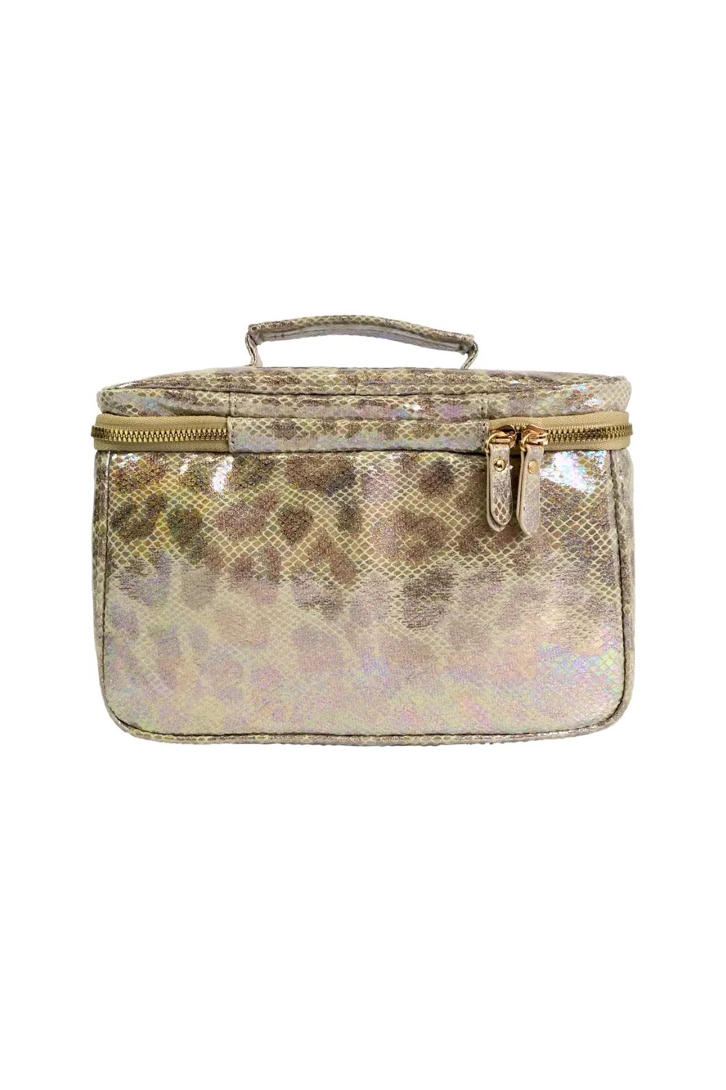 Classic Train Case