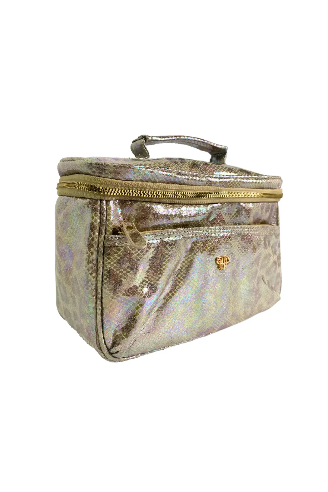 Classic Train Case