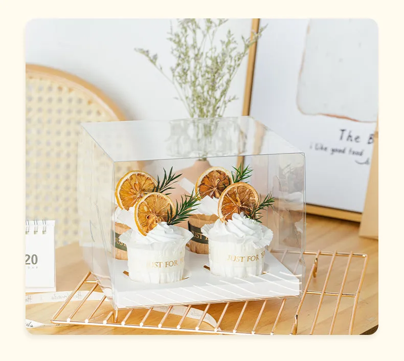Display Box with insert in variety size