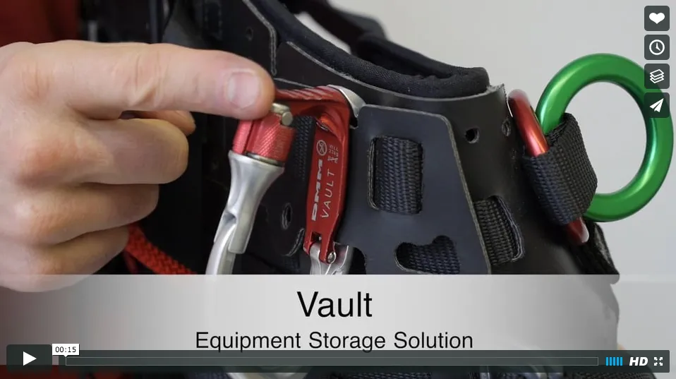 DMM Vault Locking Tool Carrier