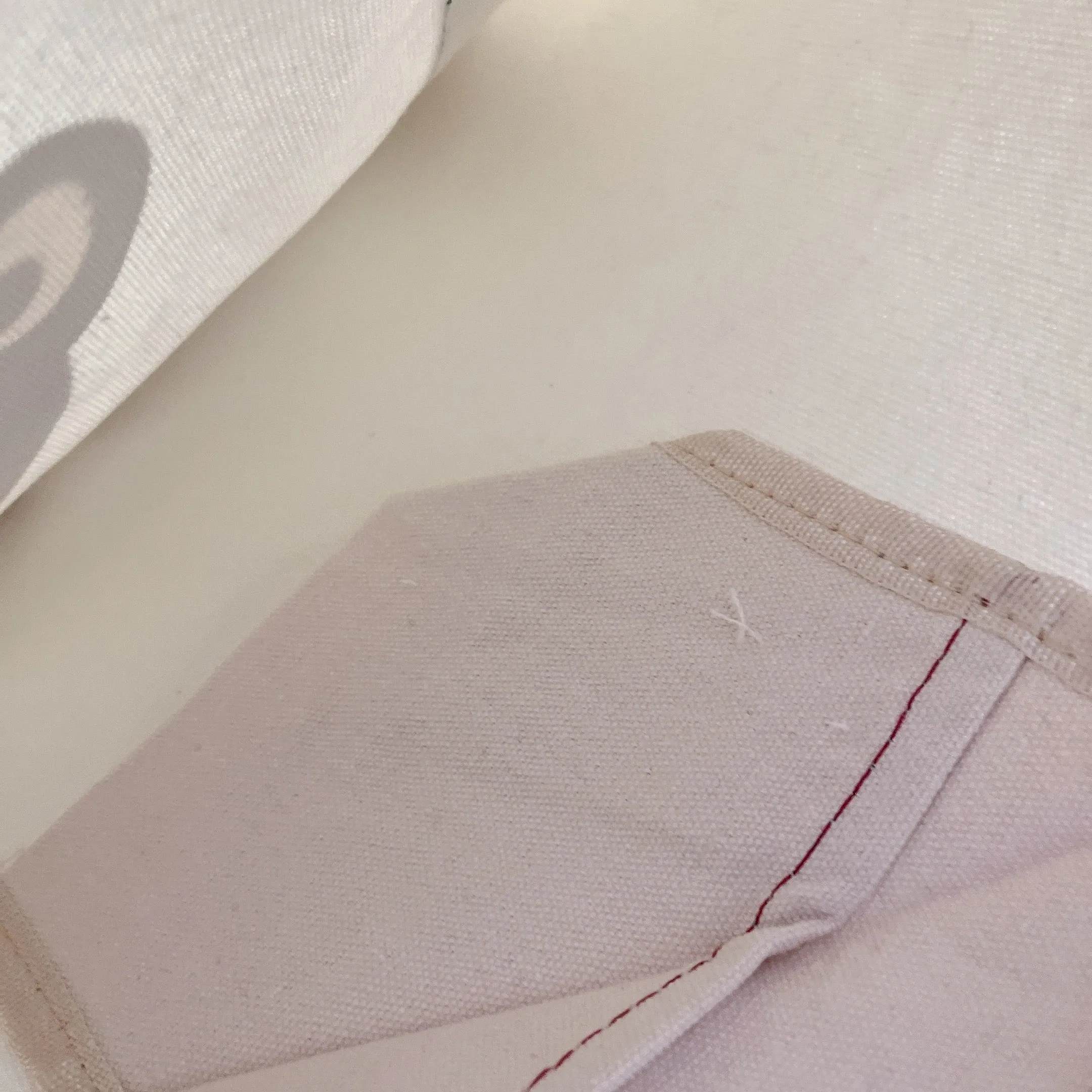 Froggo Canvas Tote/Sling bag