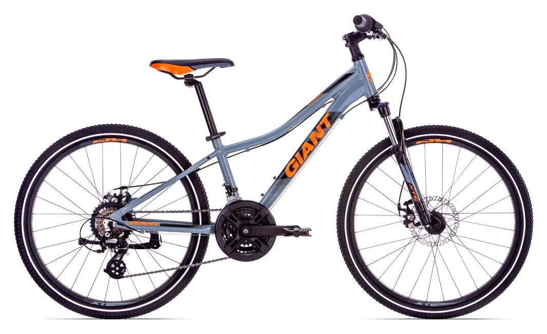 Giant XtC Jr 1 Disc 24 Gray Kids Bike