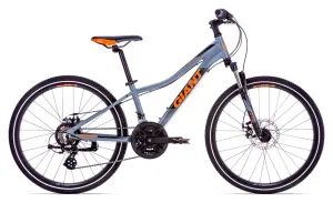 Giant XtC Jr 1 Disc 24 Gray Kids Bike