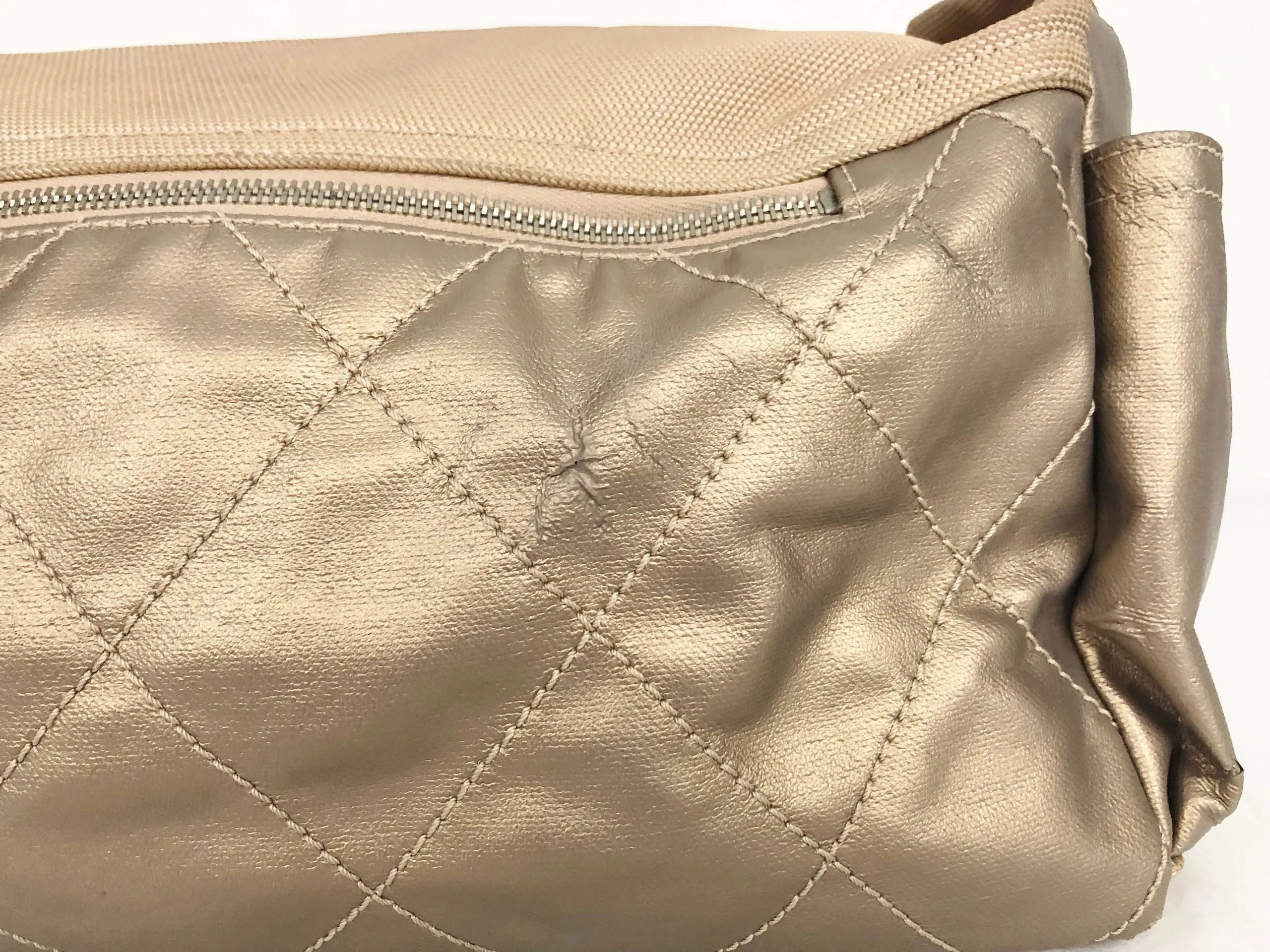 Large Paris Biarritz Tote