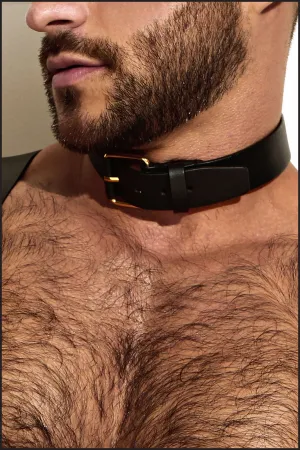 Leather Neck Harness