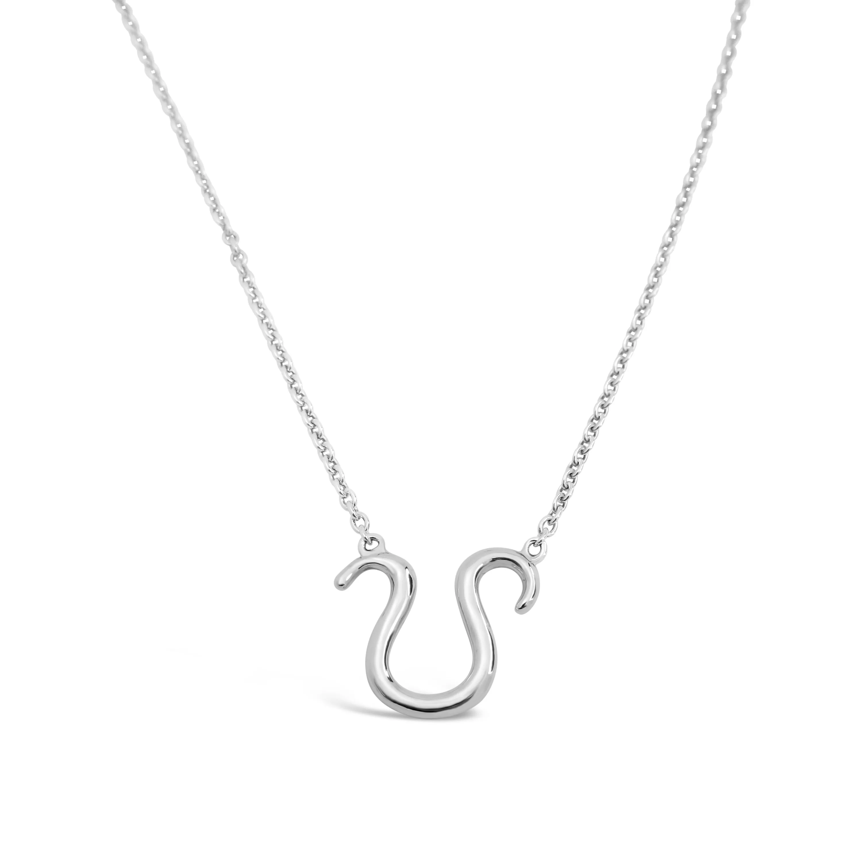 Leo Zodiac Necklace