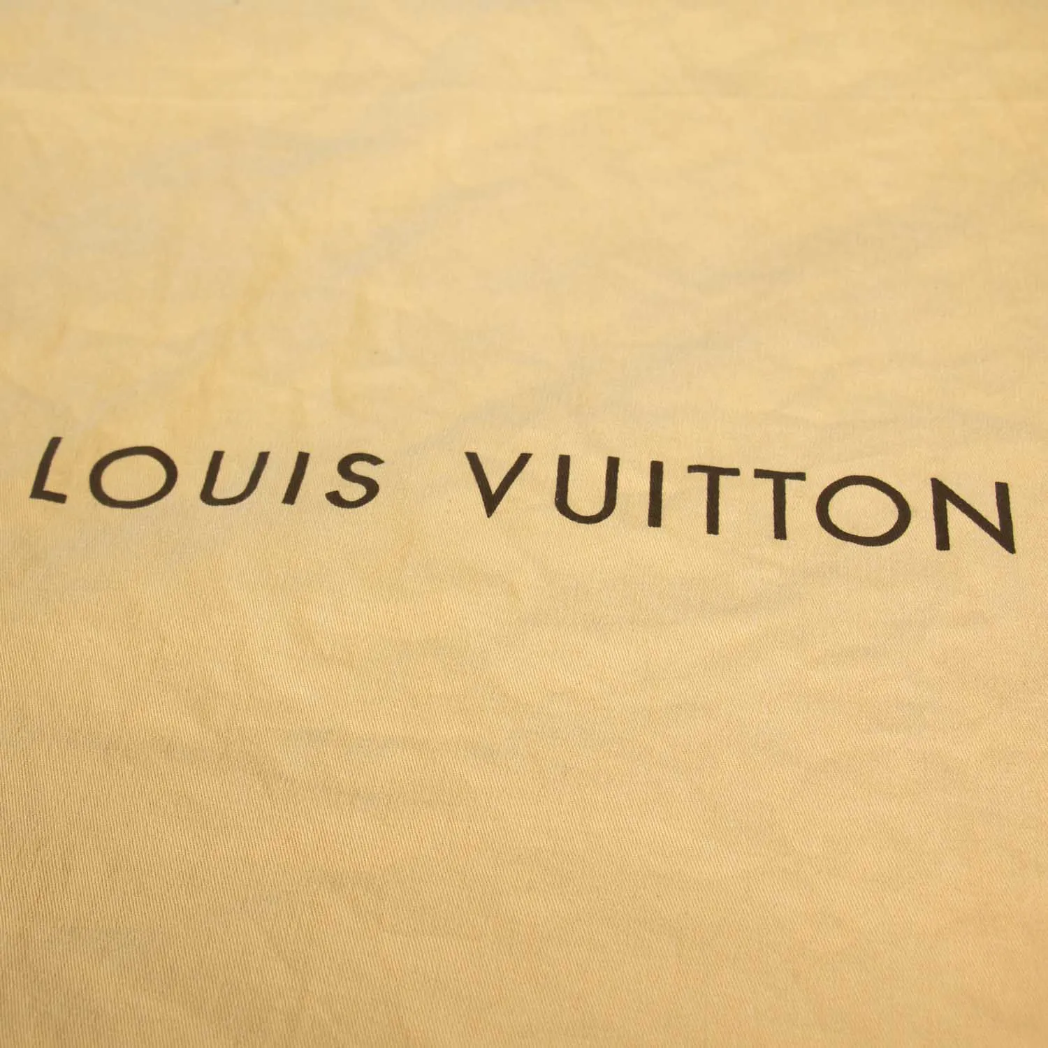 Louis Vuitton Monogram Empreinte Artsy MM