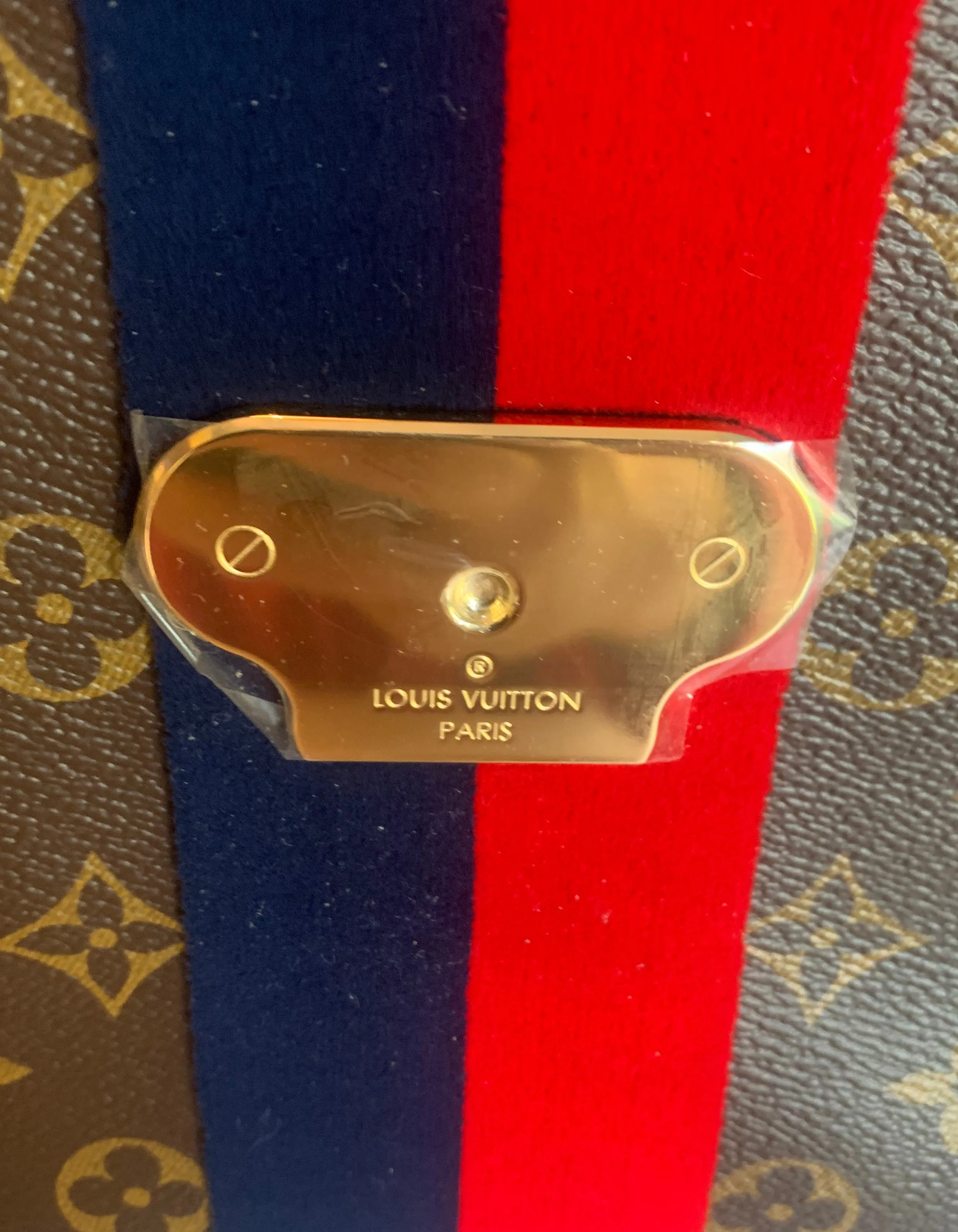 Louis Vuitton Monogram Georges MM Bag w/ Strap