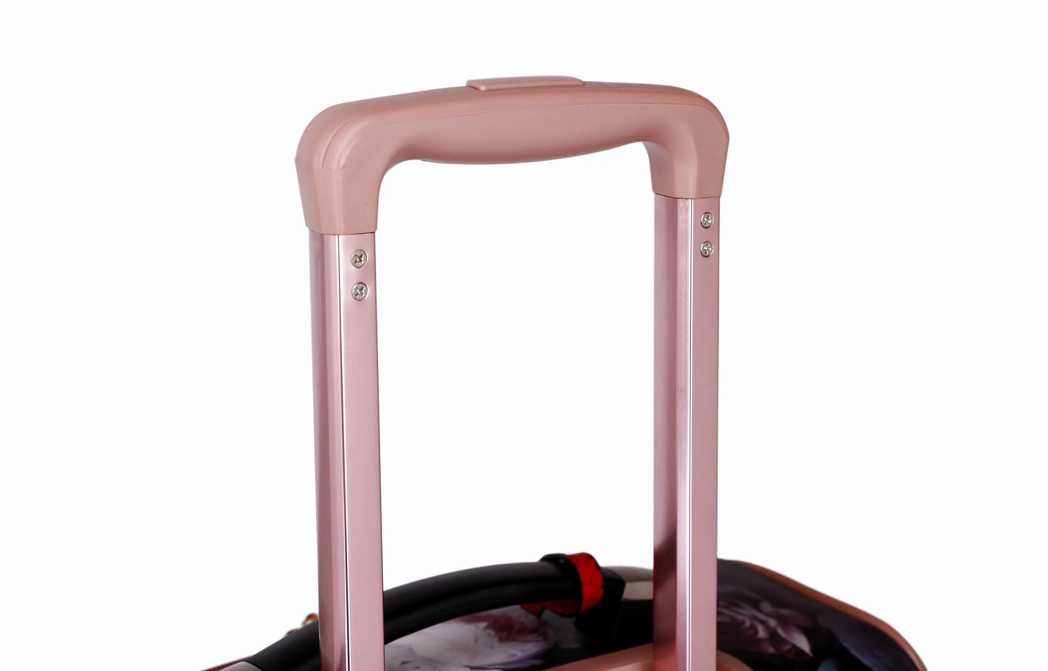 Queen Arosa Carry-on Vegan Leather Luggage With Spinners [BGL6999]