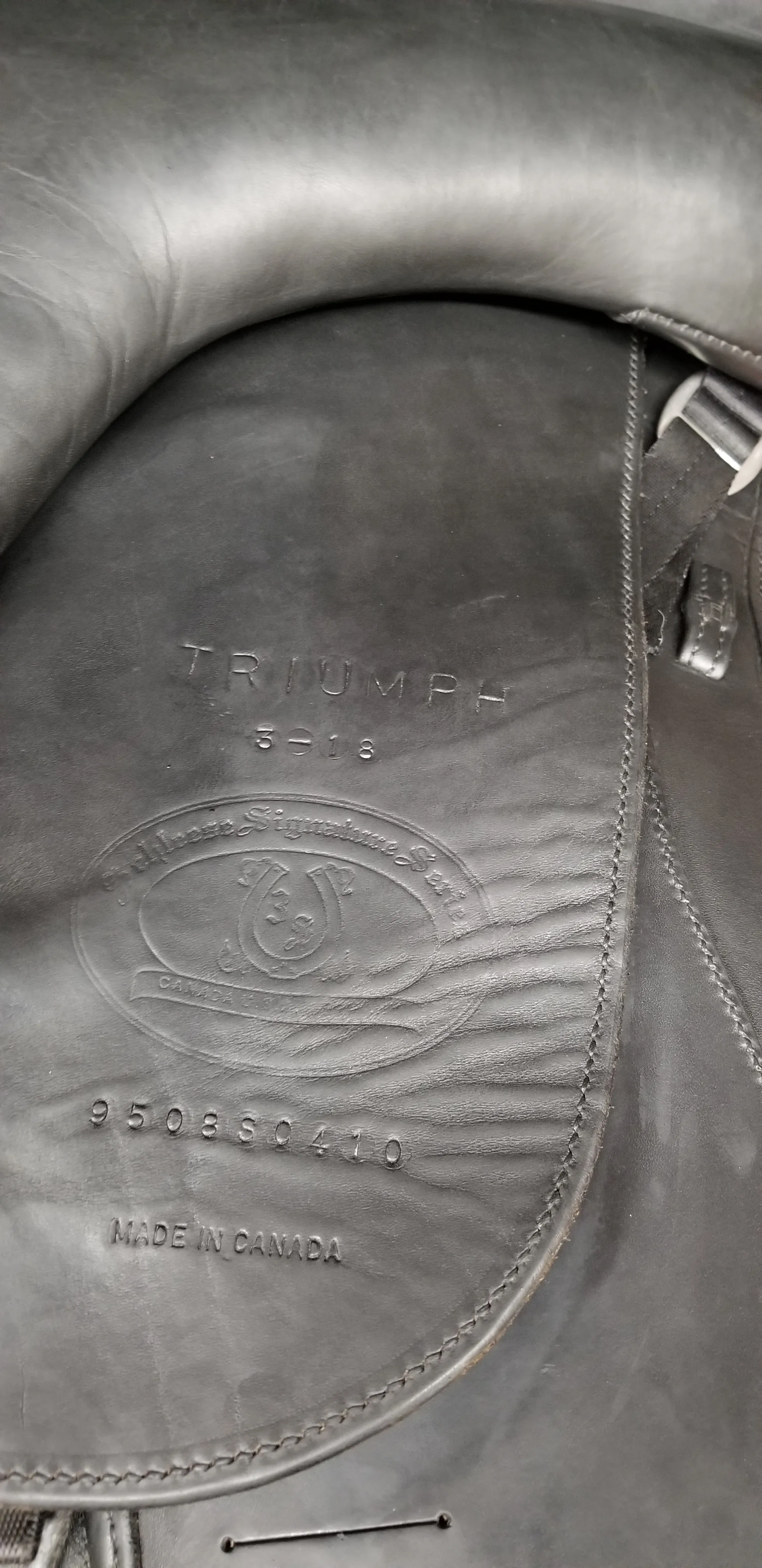 Schleese Triumph 18" Dressage Saddle (Gently Used)