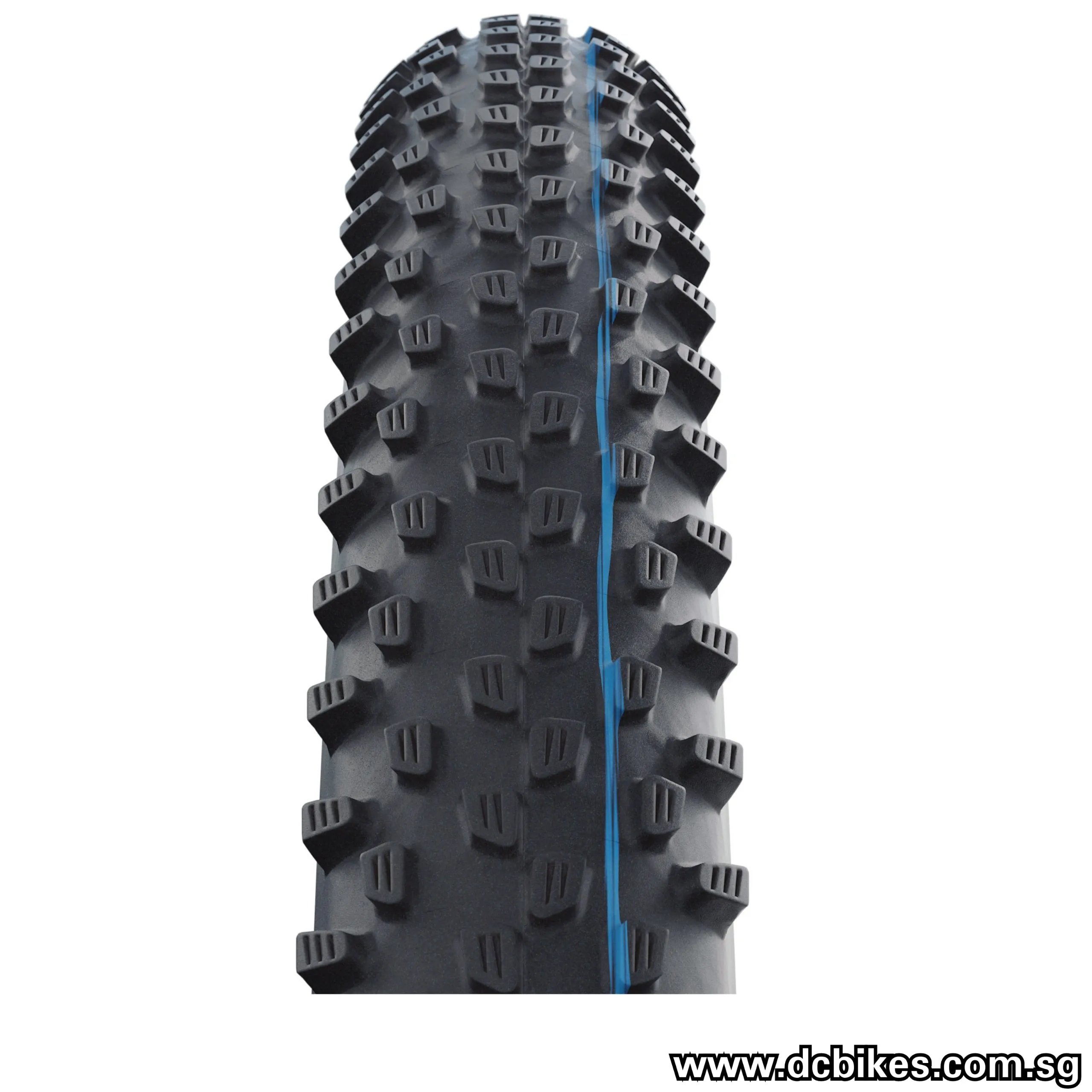 Schwalbe 26 X 2.25 Racing Ray Super Ground MTB AddixSpeedGrip Tubeless Tyre (1 Tire) 