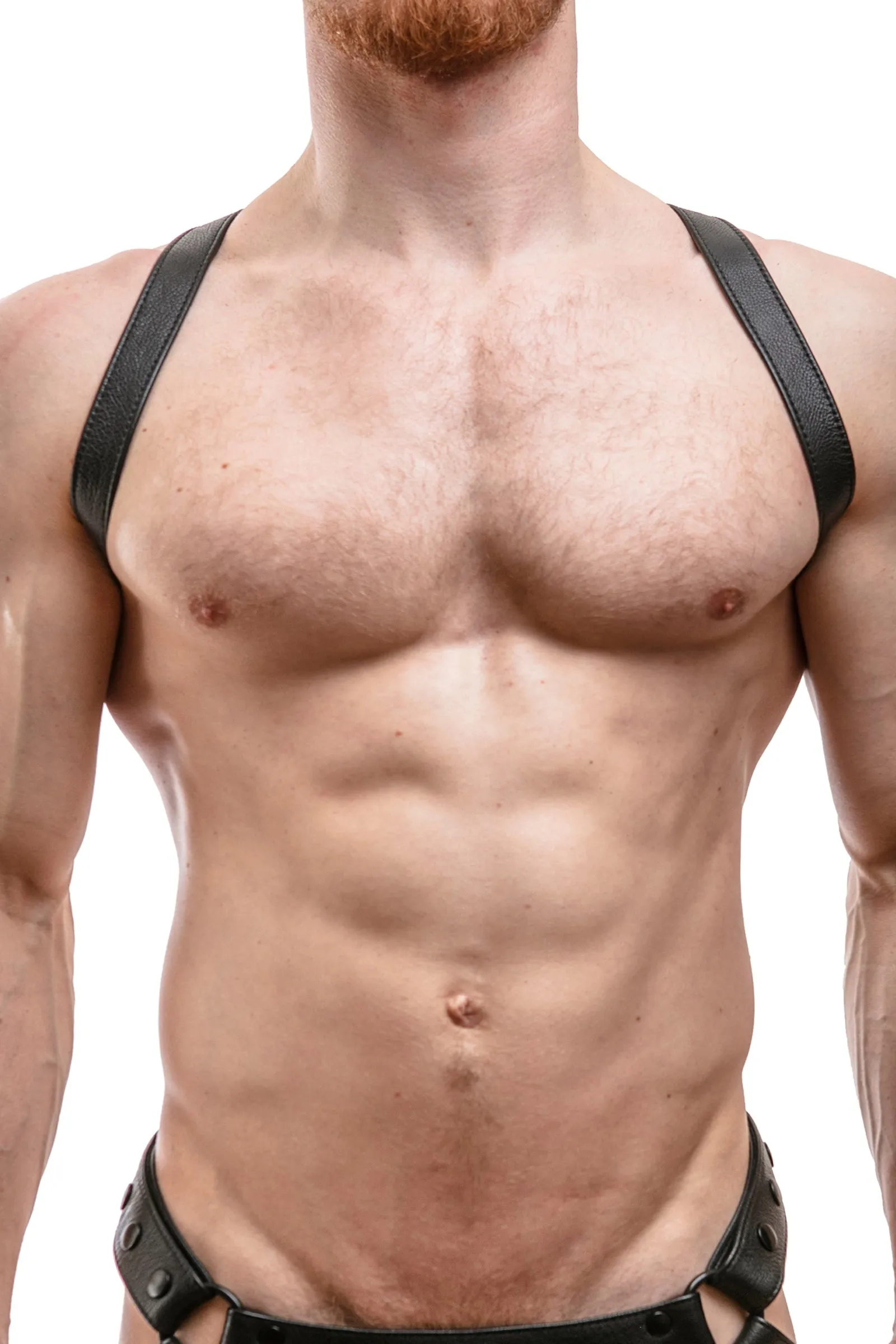 SHOULDER HARNESS - Black