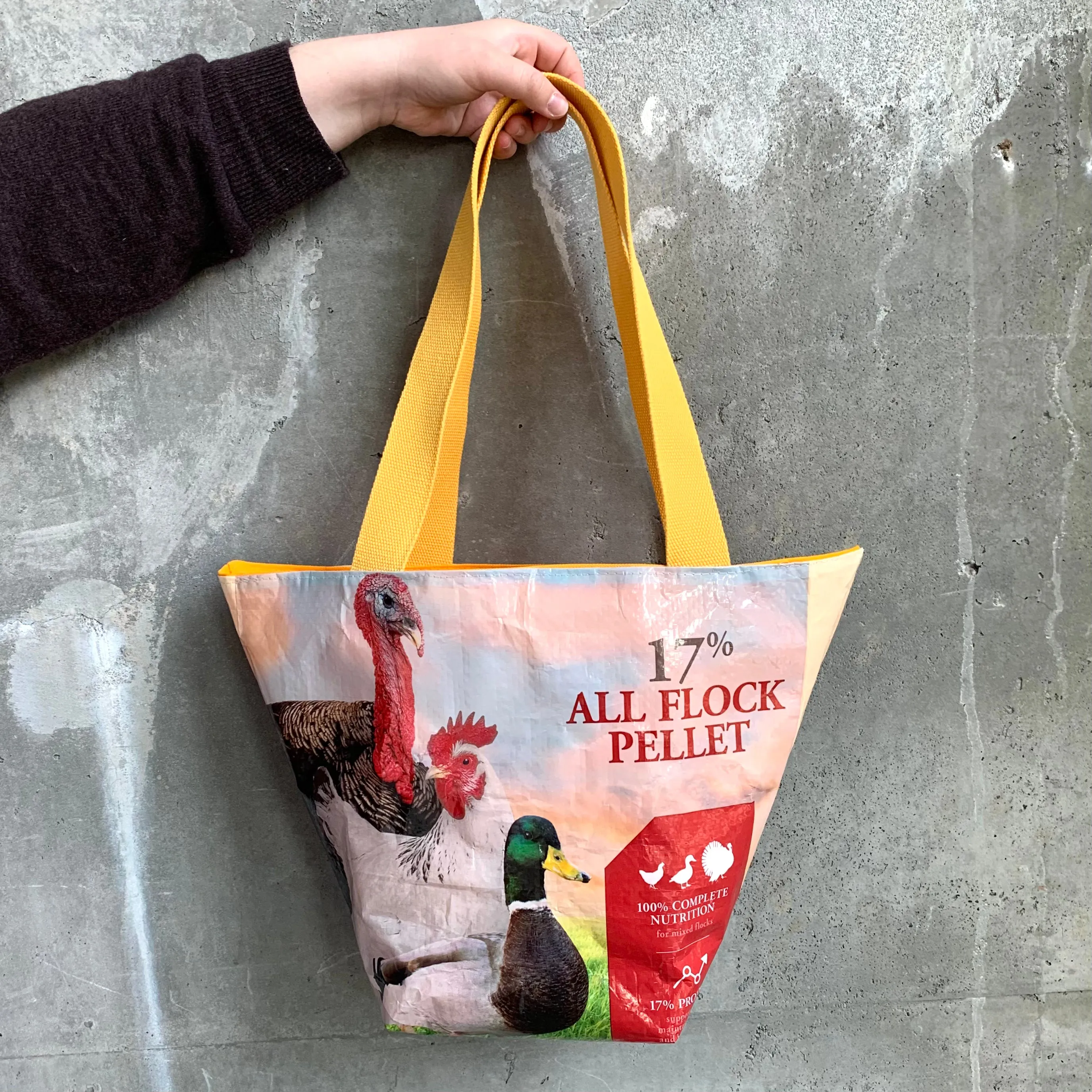 Upcycled Tote Bags | Dr. Laura