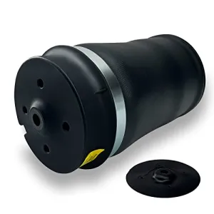 VIGOR Rear Air Suspension Spring Bag Compatible with Mercedes Benz R320 R350 R500 R550 R63 AMG Car, OEM Number 2513200025, 2513200325, 2513200425
