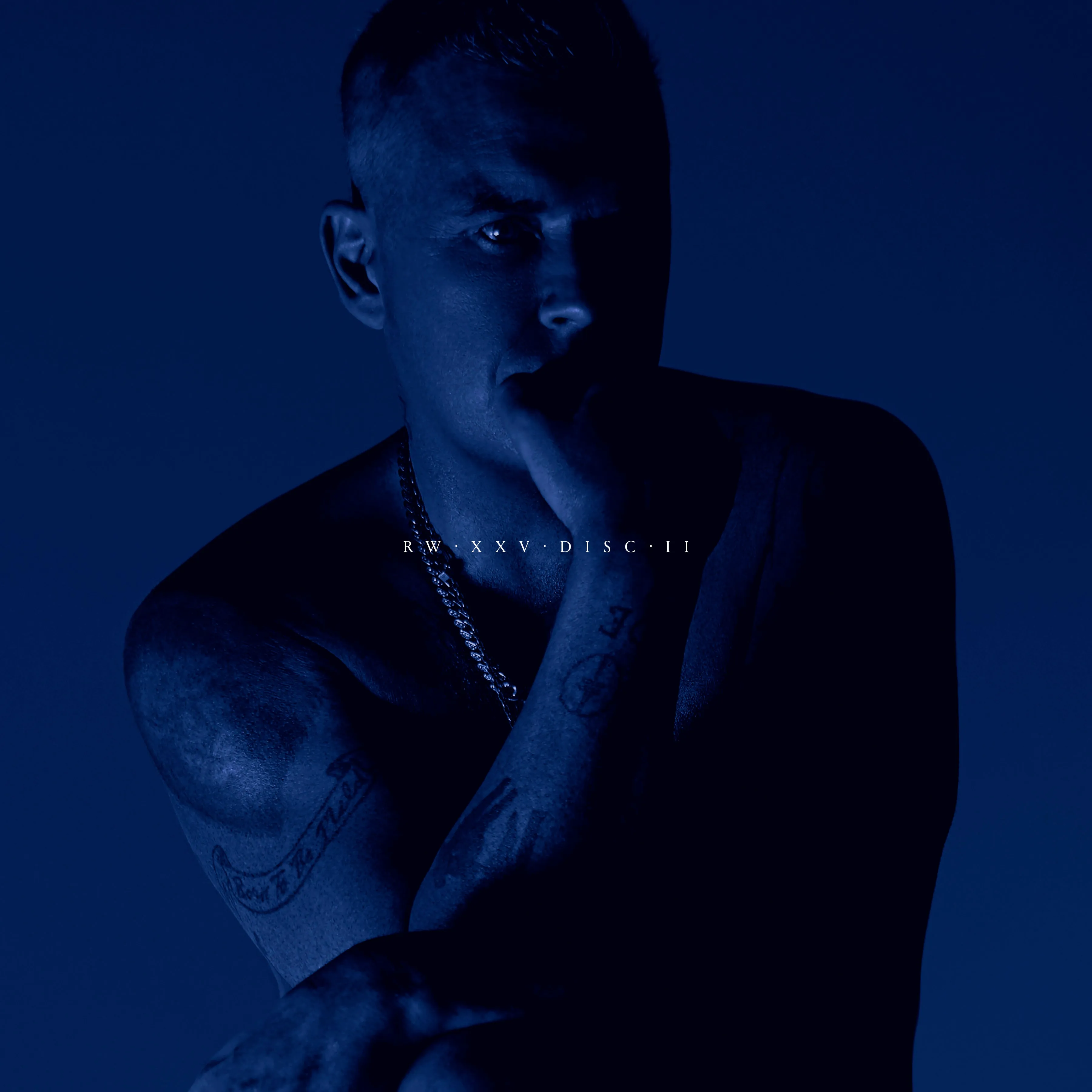 XXV Vinyl