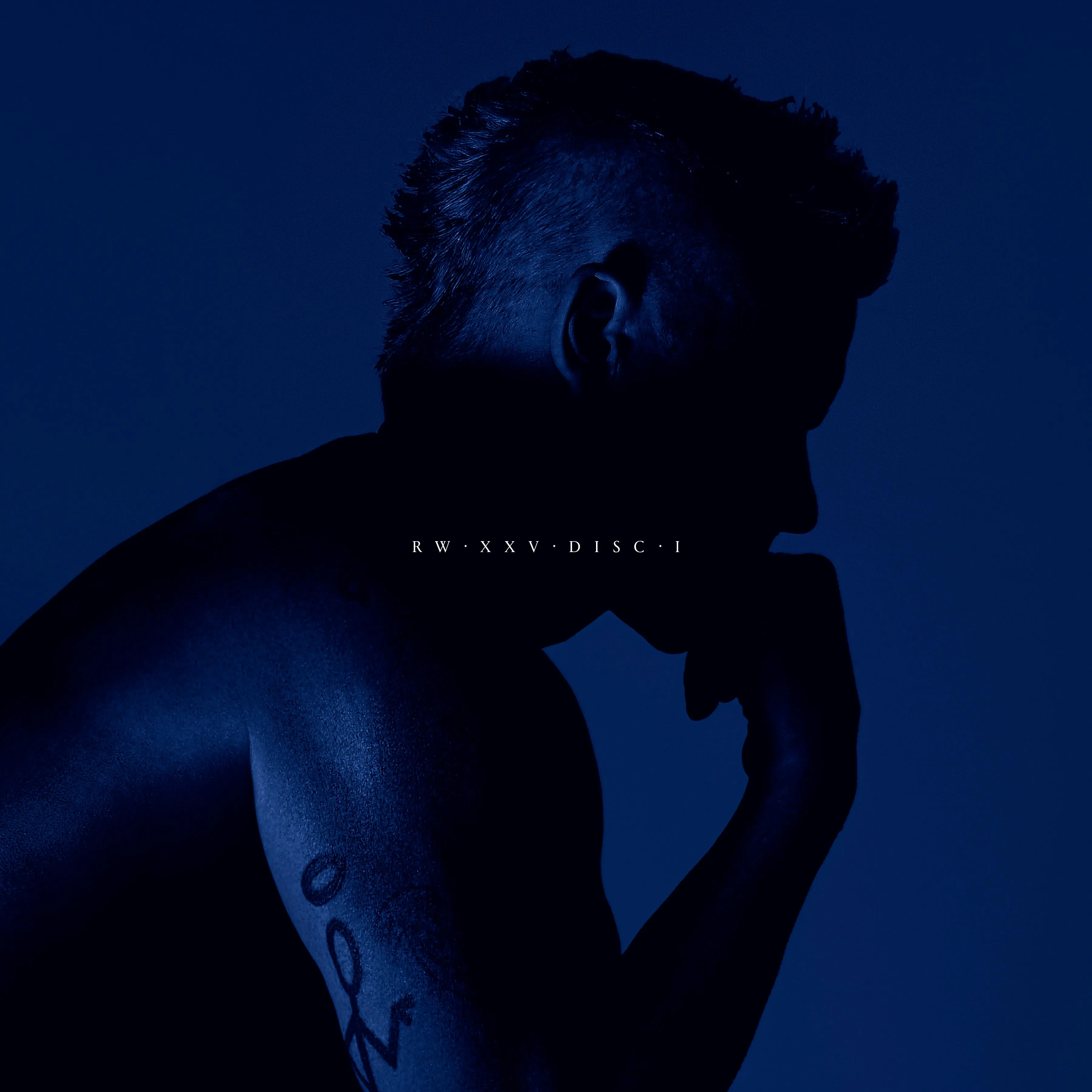 XXV Vinyl